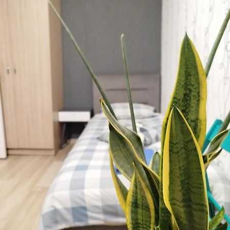 Elena Apartment Rivne Exterior photo