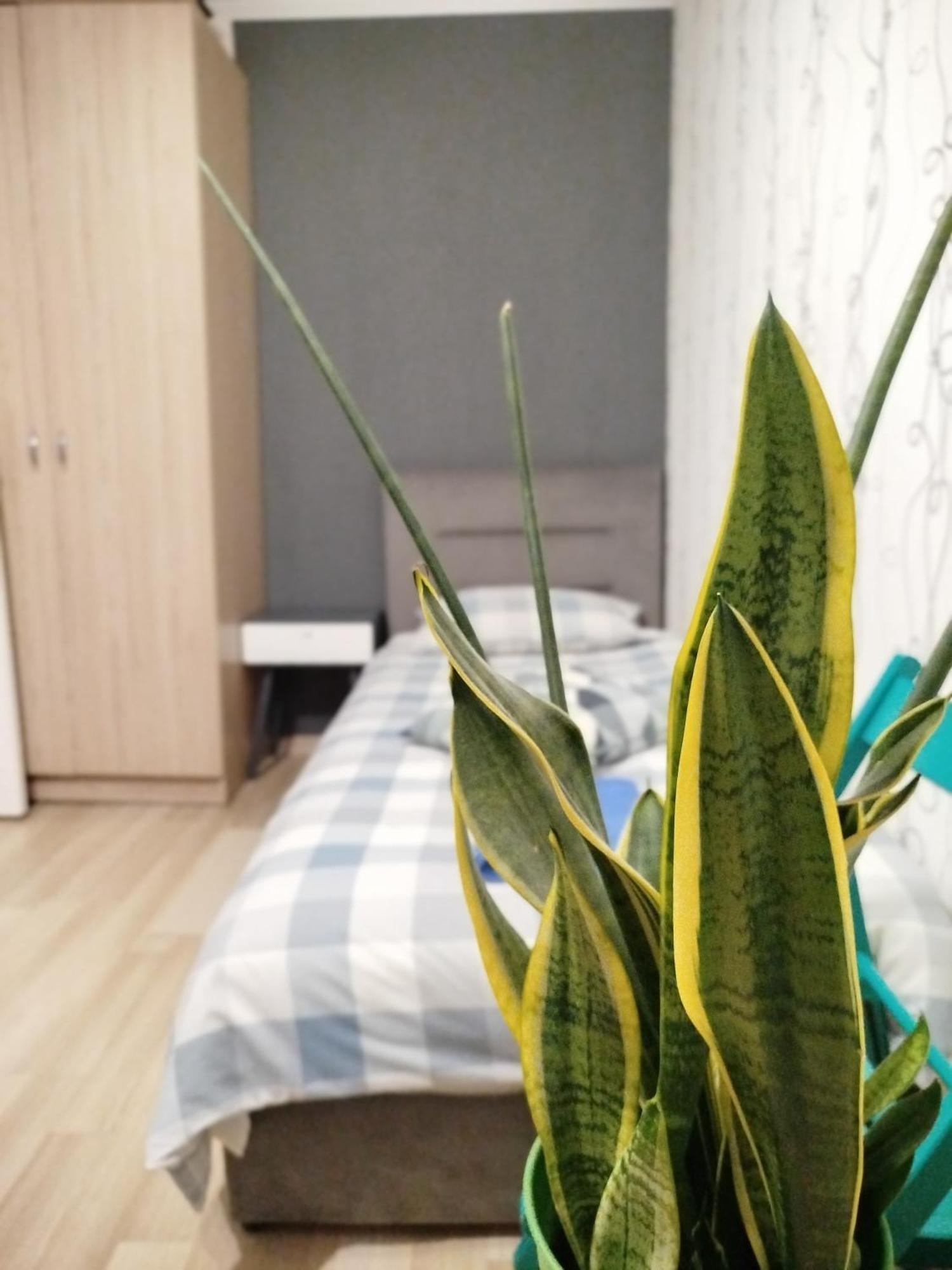 Elena Apartment Rivne Exterior photo